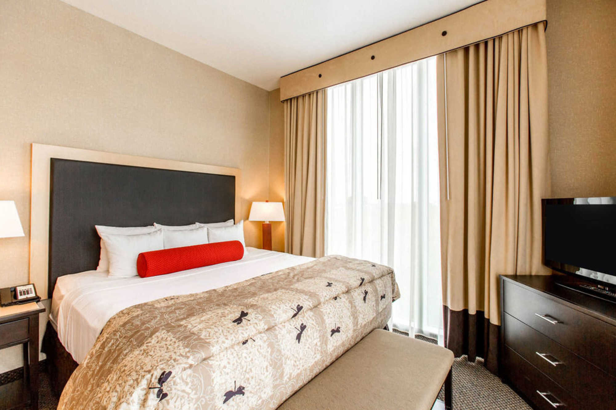 Springhill Suites By Marriott Roanoke Quarto foto