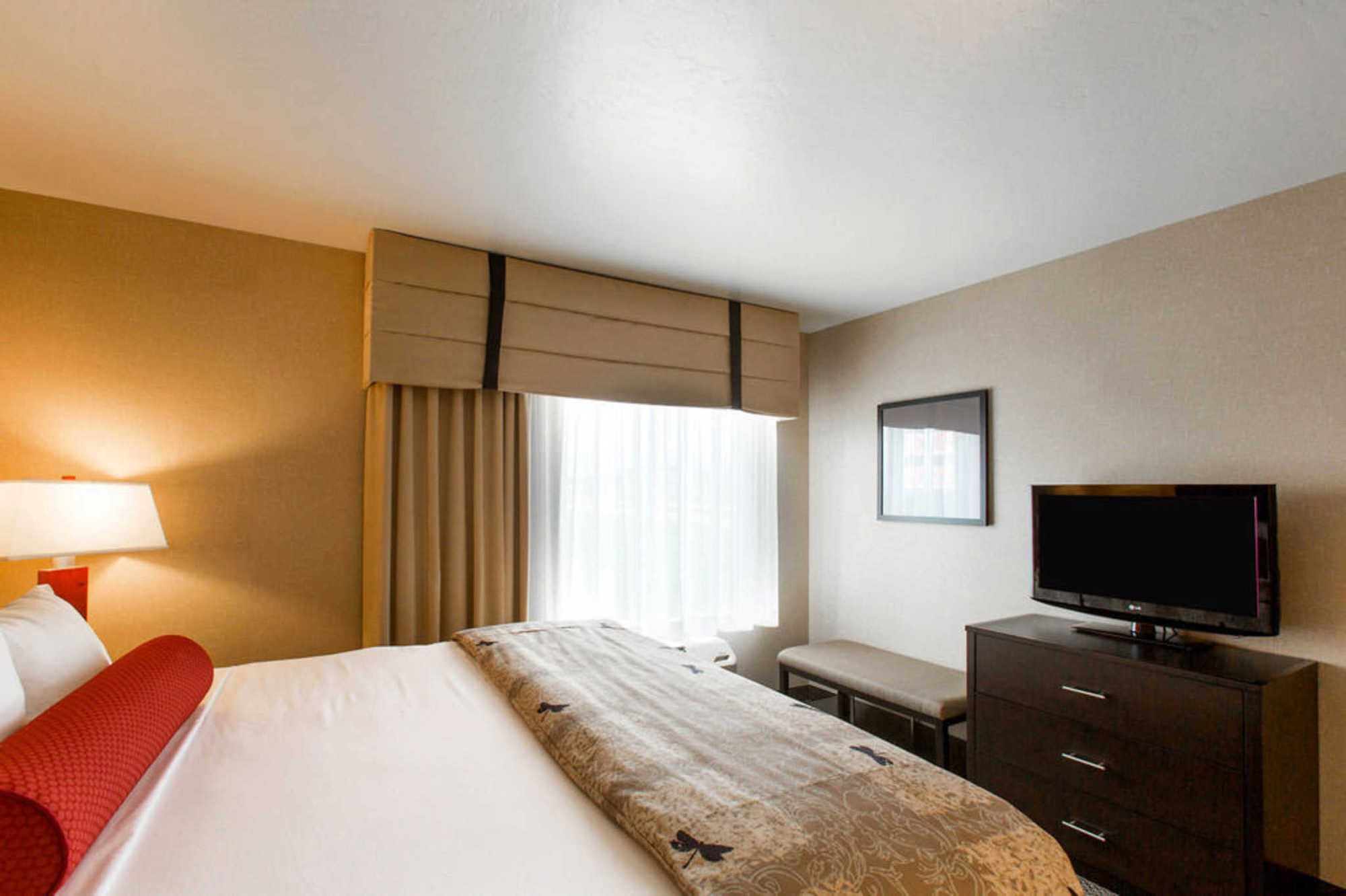 Springhill Suites By Marriott Roanoke Quarto foto