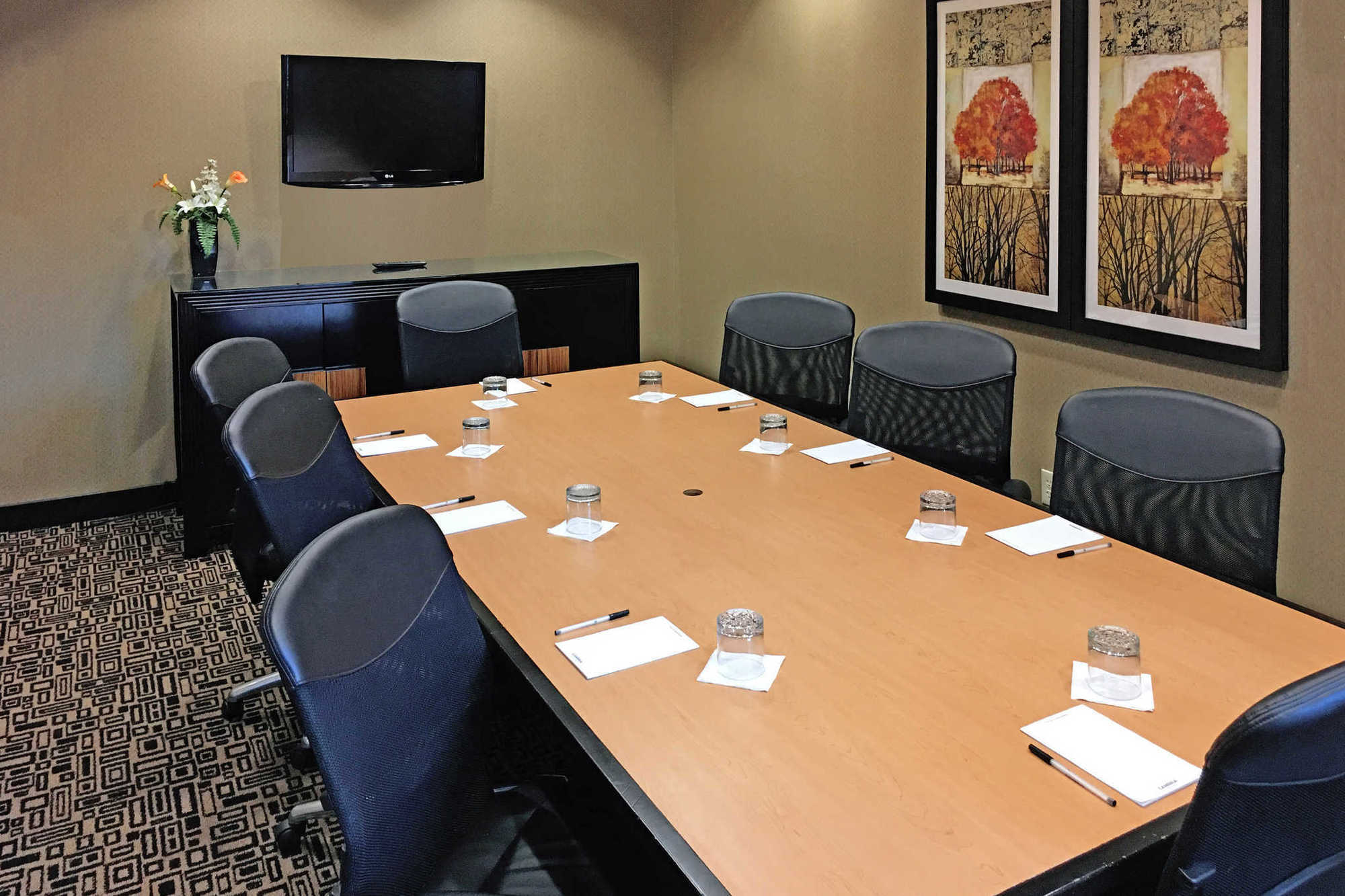 Springhill Suites By Marriott Roanoke Facilidades foto